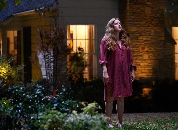 Amy Adams, seis veces candidata al Oscar, se la juega en esta película de la directorra de "Un buen día en el vecindario".
