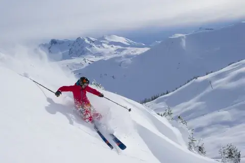 mujer esquiando nieve mujer esquiando nieve